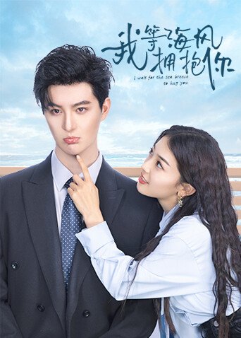 《我等海风拥抱你》作品海报
