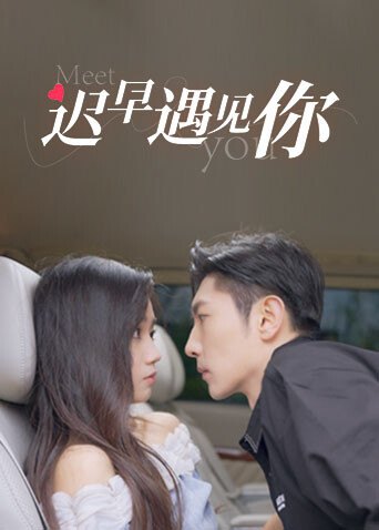 《迟早遇见你》作品海报